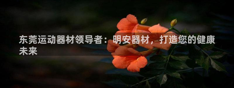 德国意昂3集团：东莞运动器材领导者：明安器材，打造您
