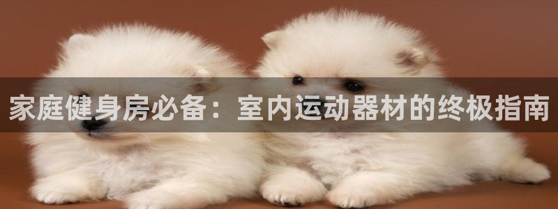 意昂3集团E.ON：家庭健身房必备：室内运动器材的终