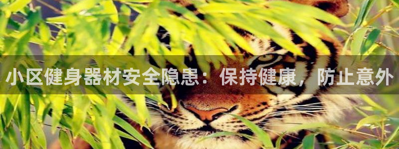 海南意昂体育3：小区健身器材安全隐患：保持健康，防止