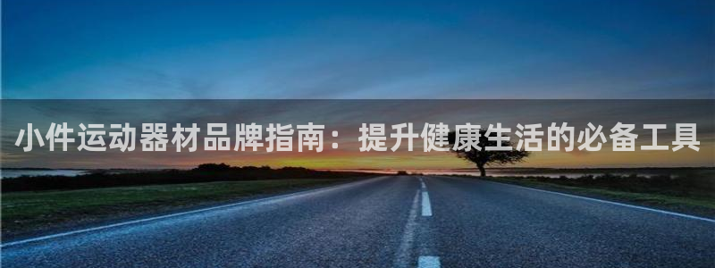 意昂体育3：小件运动器材品牌指南：提升健康生活的必备
