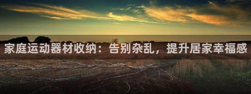 意昂3科技：家庭运动器材收纳：告别杂乱，提升居家幸福