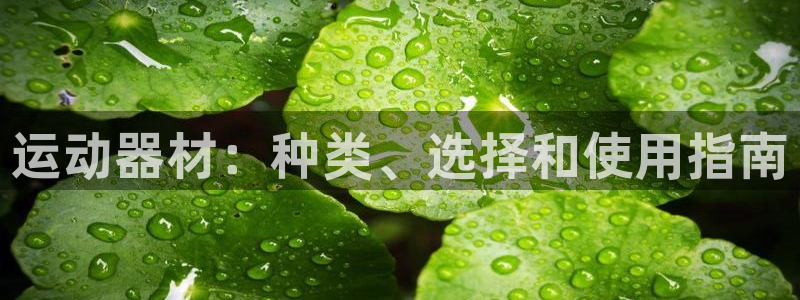 意昂3开户：运动器材：种类、选择和使用指南