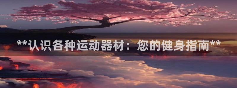 意昂体育3软件：**认识各种运动器材：您的健身指南*