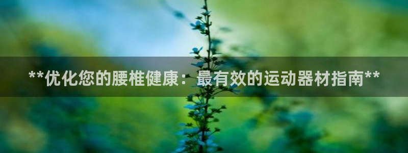 意昂3神州：**优化您的腰椎健康：最有效的运动器材指