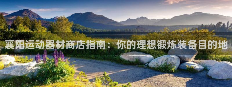 意昂体育3平台注册流程图：襄阳运动器材商店指南：你的