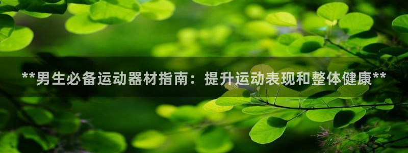 意昂3集团官网网址：**男生必备运动器材指南：提升运
