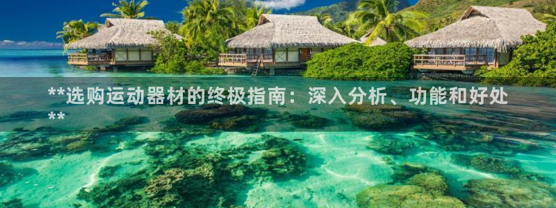 意昂体育3招商电话地址查询：**选购运动器材的终极指