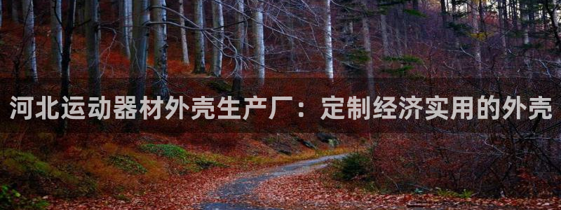 意昂体育3招商：河北运动器材外壳生产厂：定制经济实用