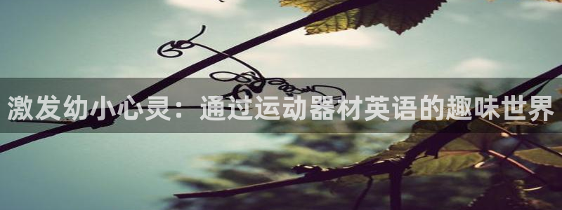 意昂体育3平台APP：激发幼小心灵：通过运动器材英语