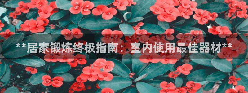 意昂体育3平台是正规平台吗知乎：**居家锻炼终极指南