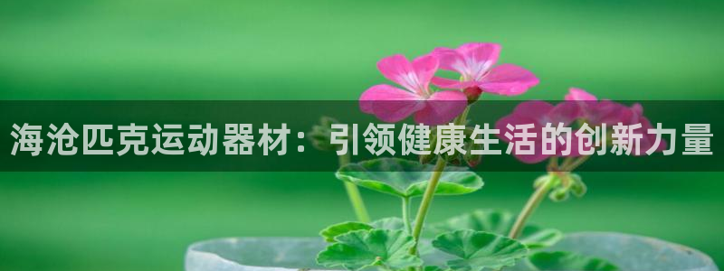 意昂3集团E.ON：海沧匹克运动器材：引领健康生活的