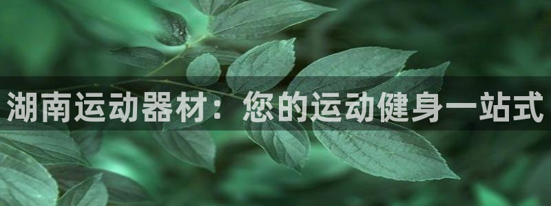 意昂体育3注册：湖南运动器材：您的运动健身一站式