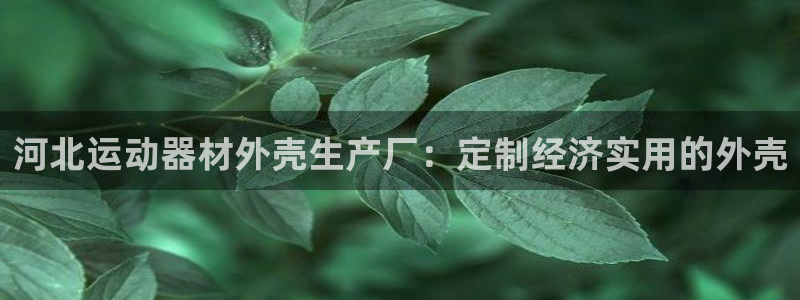 德国意昂3集团：河北运动器材外壳生产厂：定制经济实用