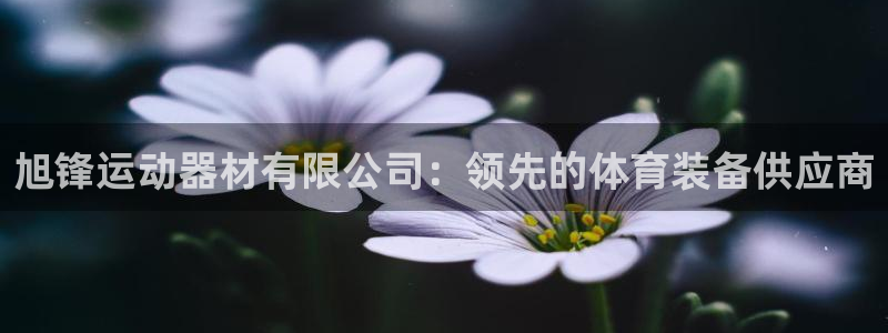 意昂3五金厂：旭锋运动器材有限公司：领先的体育装备供