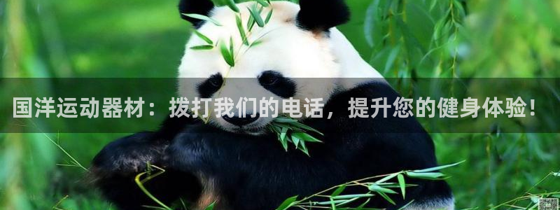意昂体育3招商电话是多少啊：国洋运动器材：拨打我们的