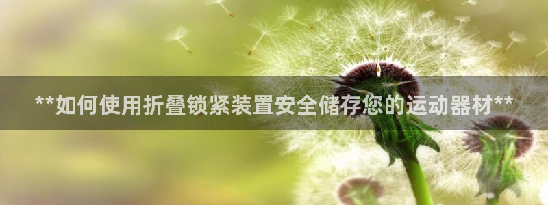海南意昂体育3：**如何使用折叠锁紧装置安全储存您的