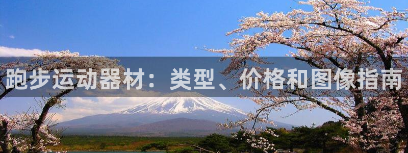 意昂3科技：跑步运动器材：类型、价格和图像指南