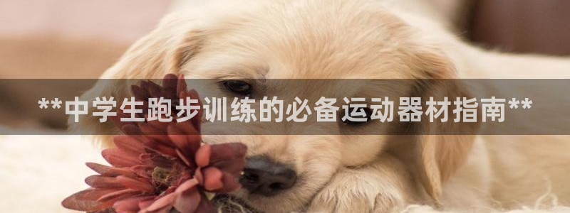 意昂3科技：**中学生跑步训练的必备运动器材指南**