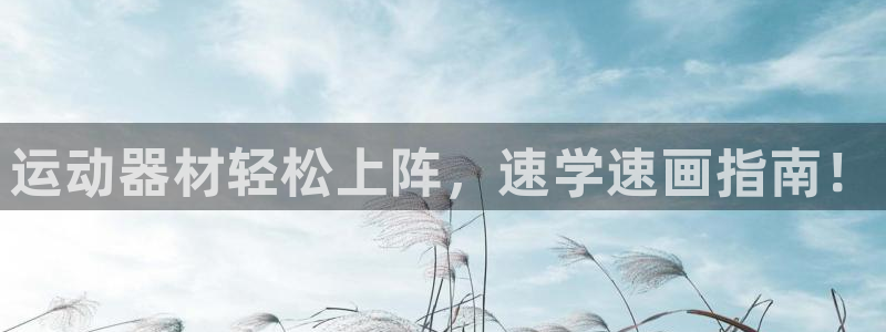 意昂体育3平台APP：运动器材轻松上阵，速学速画指南