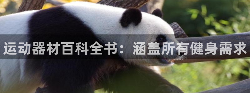 意昂3娱乐首页官网下载：运动器材百科全书：涵盖所有健身需求