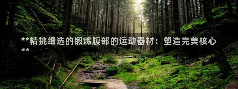 海南意昂体育3：**精挑细选的锻炼腹部的运动器材：塑