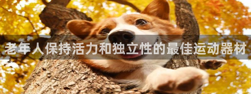 意昂体育3平台是正规平台吗知乎：老年人保持活力和独立