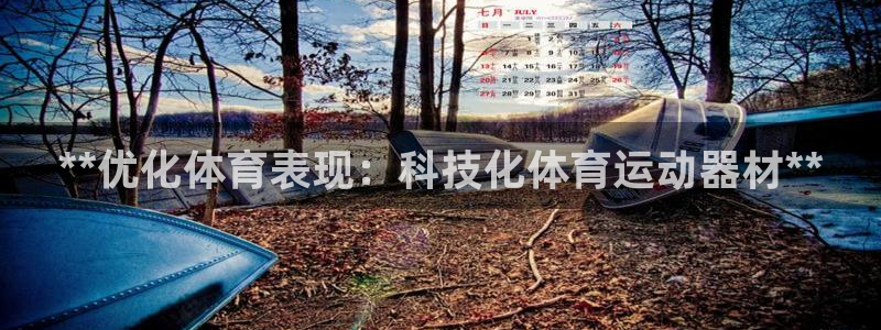 意昂3集团：**优化体育表现：科技化体育运动器材**