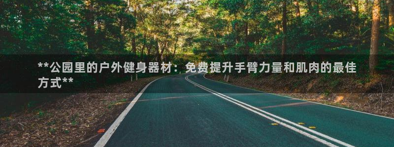意昂3代理：**公园里的户外健身器材：免费提升手臂力