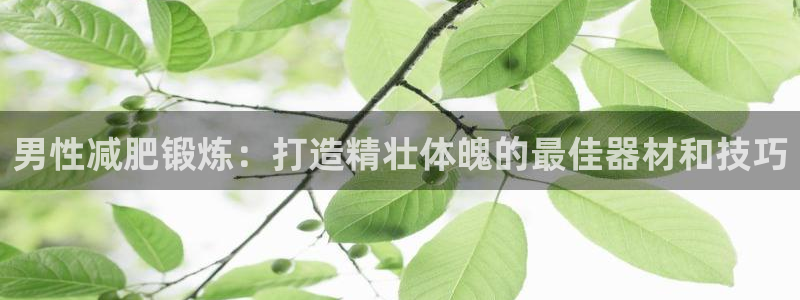 意昂体育3平台APP：男性减肥锻炼：打造精壮体魄的最