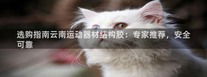 意昂体育3招商电话是多少啊：选购指南云南运动器材结构