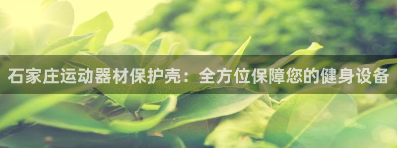 意昂3集团官网首页：石家庄运动器材保护壳：全方位保障