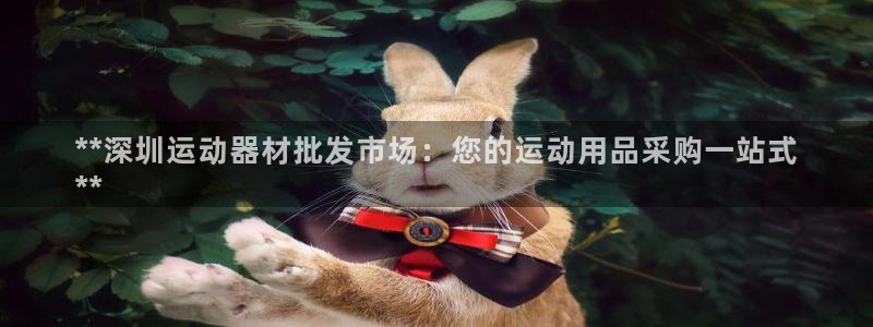 意昂体育3软件：**深圳运动器材批发市场：您的运动用