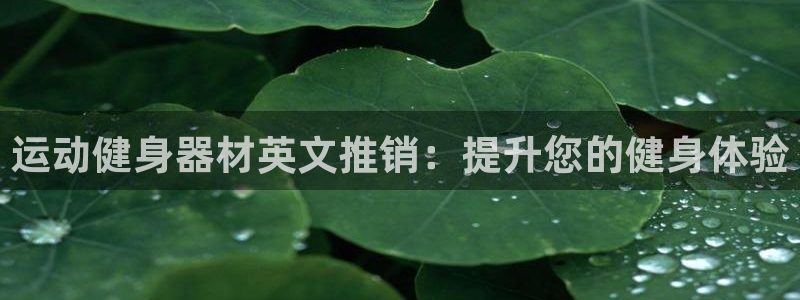 意昂3官方：运动健身器材英文推销：提升您的健身体验