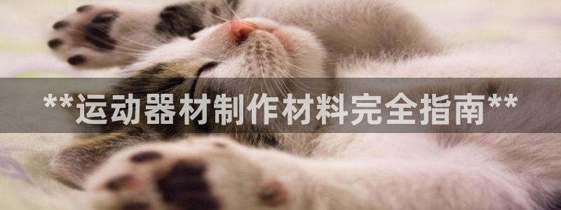 意昂3集团logo：**运动器材制作材料完全指南**