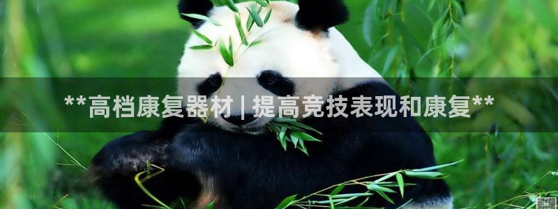 意昂3集团官网首页网址：**高档康复器材 | 提高竞
