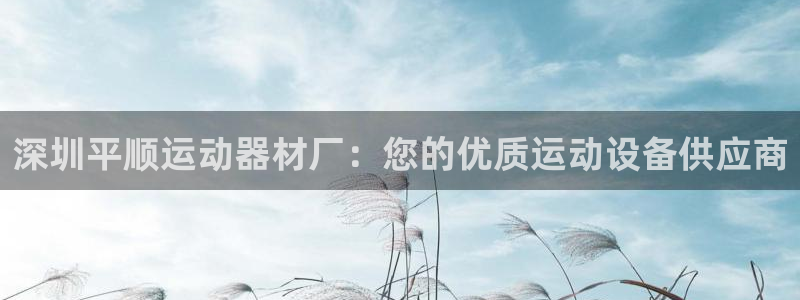 意昂体育3：深圳平顺运动器材厂：您的优质运动设备供应
