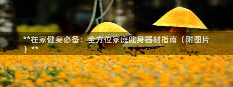 意昂3新能源：**在家健身必备：全方位家庭健身器材指
