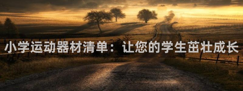 意昂体育3招商电话地址是多少：小学运动器材清单：让您