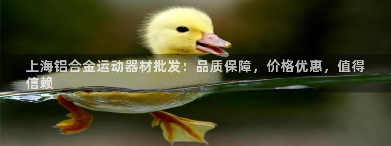 意昂3神州：上海铝合金运动器材批发：品质保障，价格优