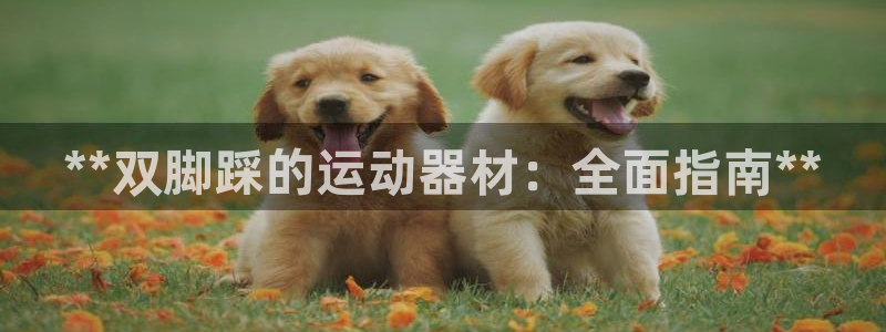 意昂体育3平台是正规平台吗知乎：**双脚踩的运动器材