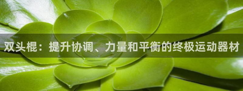 意昂体育3招商电话号码查询：双头棍：提升协调、力量和