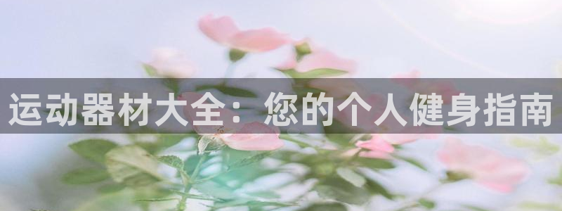 意昂3集团：运动器材大全：您的个人健身指南