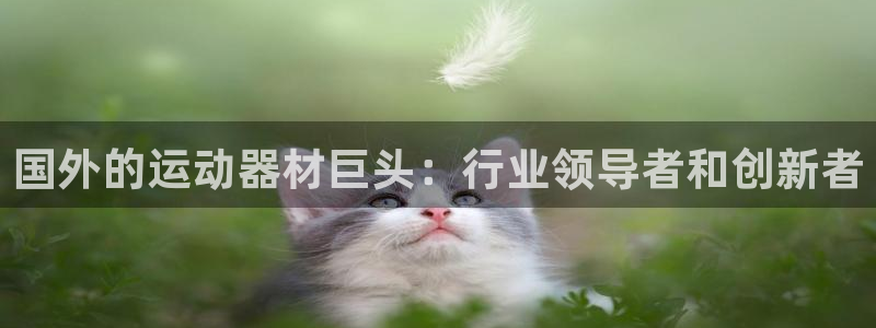 意昂3娱乐首页官网下载：国外的运动器材巨头：行业领导