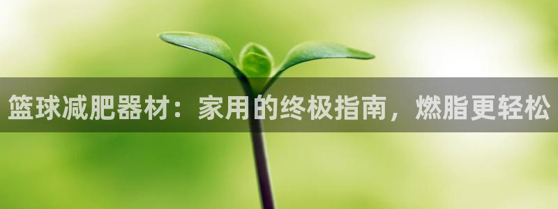 意昂体育3软件：篮球减肥器材：家用的终极指南，燃脂更