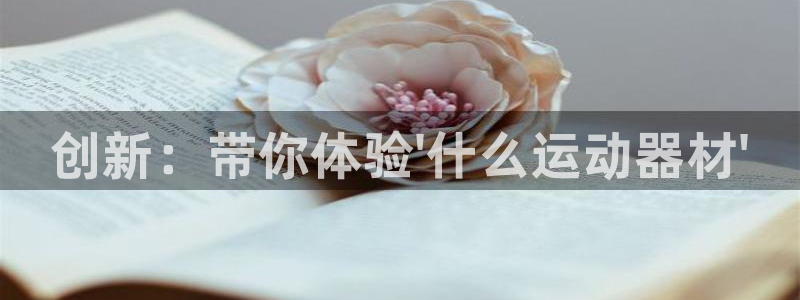 意昂平台体育