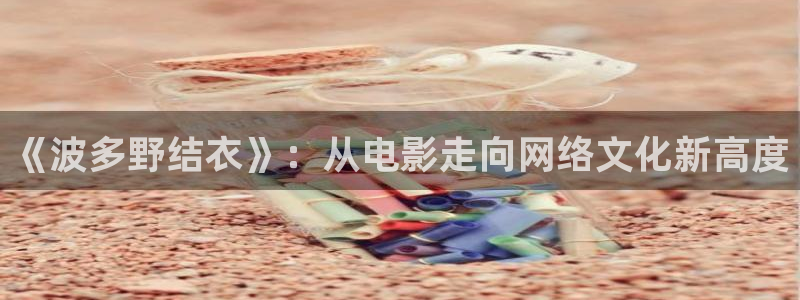 熊猫电影yy8y3(5)：《波多野结衣》：从电影走向网络文化新高度