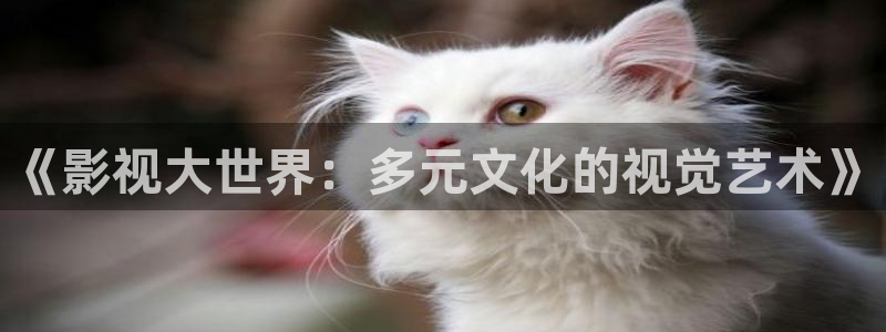 熊猫影片：《影视大世界：多元文化的视觉艺术》