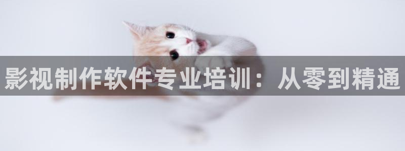 熊猫电影网站