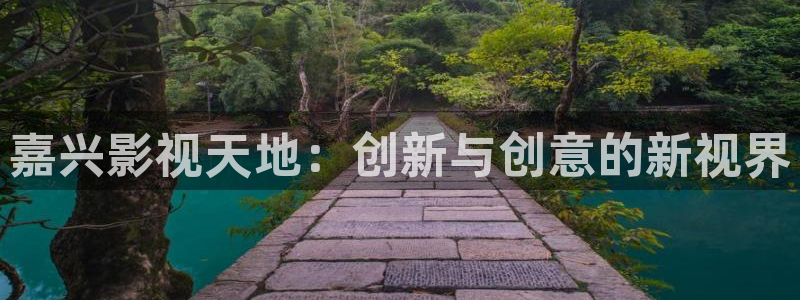 熊猫在线电影观看