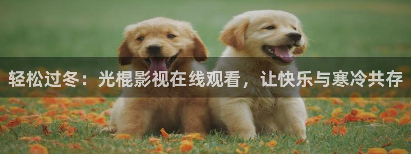熊猫电影yy8y3
